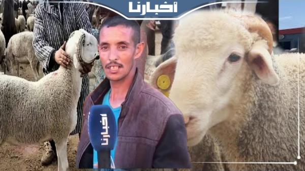 كساب: الخير موجود والدرويش غادي يشري الحولي والكبش المغربي أفضل من الإسباني